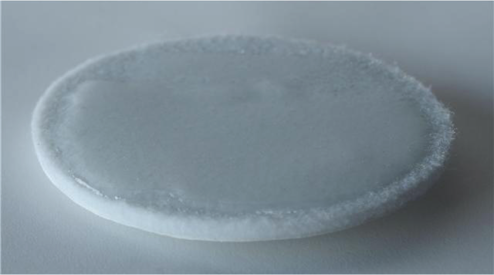 HoofSolutions Orthopedic Pad (per pair) - Dry (non medicated)